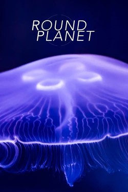 BBC. Круглая планета - смотреть онлайн