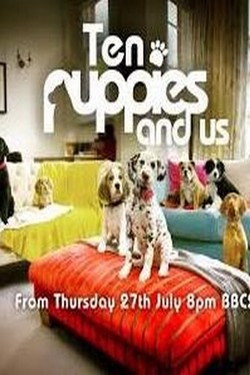 10 щенков и все остальные - смотреть онлайн
