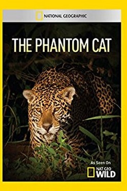 NG: Неуловимая кошка - смотреть онлайн