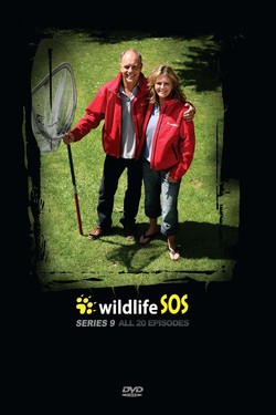 SOS дикой природы - смотреть онлайн