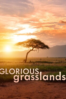 Дивные луга - смотреть онлайн