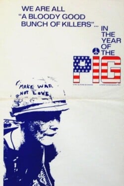 В год свиньи - смотреть онлайн