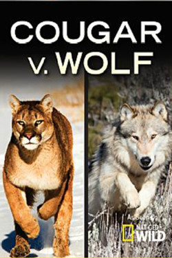 NG. Пума против волка - смотреть онлайн