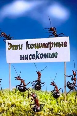 Эти кошмарные насекомые - смотреть онлайн