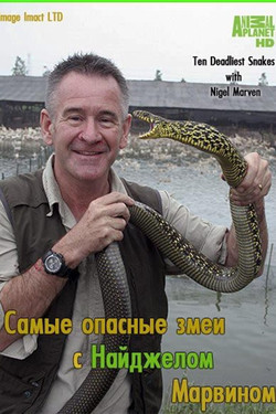 Самые опасные змеи с Найджелом Марвином - смотреть онлайн