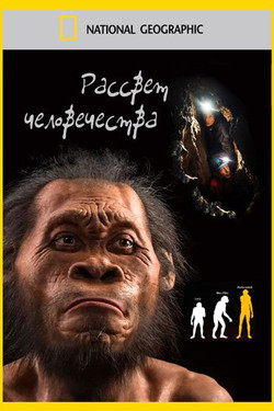 Рассвет человечества - смотреть онлайн