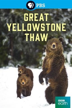 BBC: Великая американская оттепель - смотреть онлайн