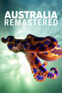 Дикие австралийцы - смотреть онлайн