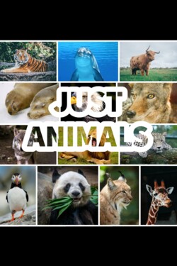 Просто животные - смотреть онлайн