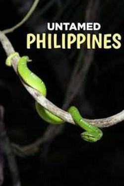 Дикая природа Филиппин - смотреть онлайн