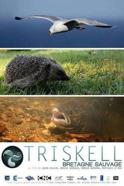 Трискелион. Природа Бретани - смотреть онлайн