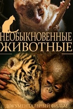 Необыкновенные животные - смотреть онлайн
