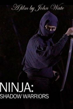 Ниндзя: Воины-тени - смотреть онлайн