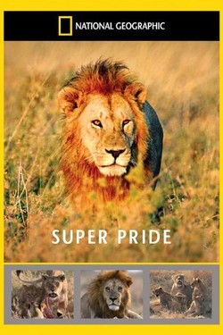 National Geographic. Прайд - смотреть онлайн