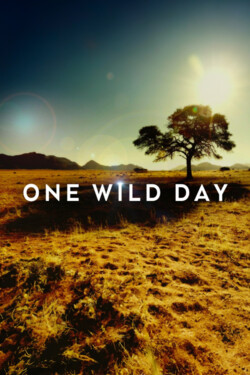 Viasat Nature: Один дикий день - смотреть онлайн