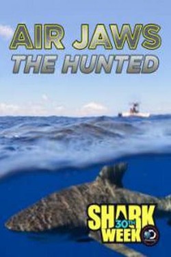 Кто убил большую белую? - смотреть онлайн