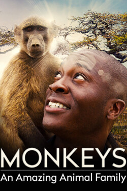 Обезьяны - Удивительное семейство животных - смотреть онлайн