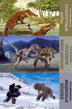 National Geographic. Пути эволюции  - смотреть онлайн