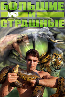Большие и страшные - смотреть онлайн