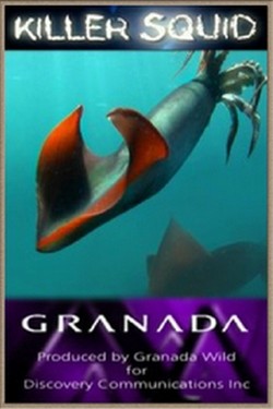 Discovery. Кальмар-убийца - смотреть онлайн