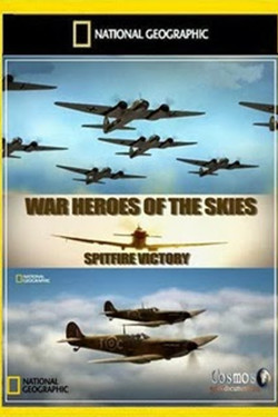 Воздушные асы войны - смотреть онлайн