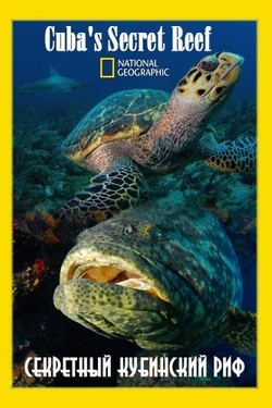 Nat Geo Wild: Секретный кубинский риф - смотреть онлайн