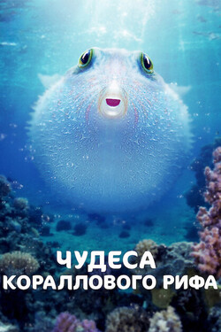 Чудеса кораллового рифа - смотреть онлайн
