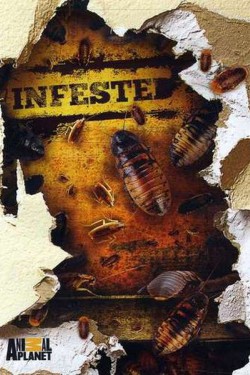 BBC. Съеденные заживо - смотреть онлайн