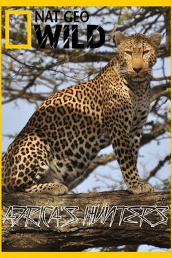 Nat Geo Wild: Африканские охотники - смотреть онлайн