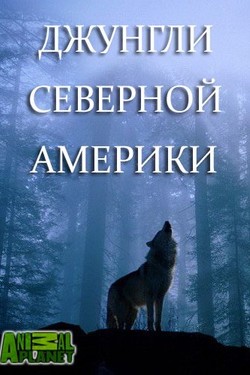 Animal Planet. Джунгли Северной Америки - смотреть онлайн