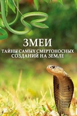 Змеи. Тайны самых смертоносных созданий на земле - смотреть онлайн