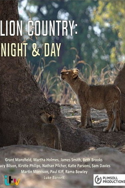 Львиная страна: ночь и день - смотреть онлайн