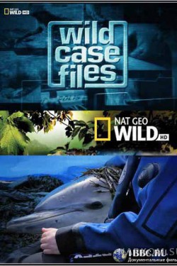 Nat Geo Wild: Секретные материалы природы - смотреть онлайн