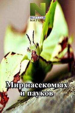 Viasat Nature: Мир насекомых и пауков - смотреть онлайн