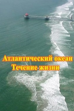 Атлантический океан. Течение жизни - смотреть онлайн