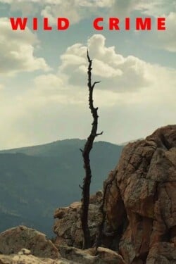 Дикие преступления - смотреть онлайн