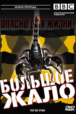 BBC: Большое жало - смотреть онлайн