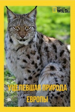 NGW: Уцелевшая природа Европы - смотреть онлайн