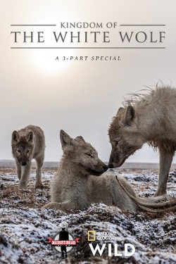 Королевство белого волка - смотреть онлайн