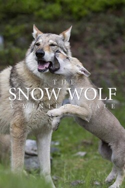 BBC: Снежный волк. Зимняя сказка - смотреть онлайн