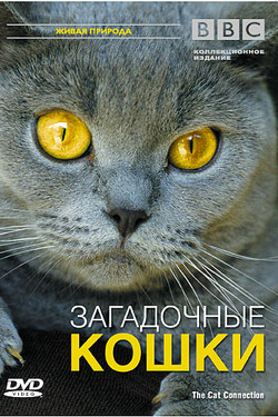 BBC: Загадочные кошки - смотреть онлайн