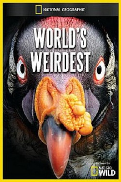 National Geographic. Самые странные в мире - смотреть онлайн