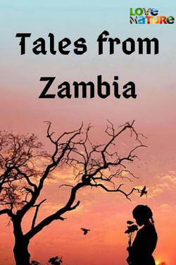 Сказочная Замбия - смотреть онлайн