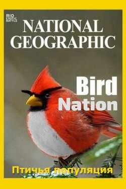 Nat Geo Wild: Птичья популяция - смотреть онлайн