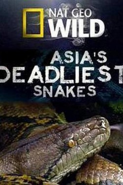 National Geographic. Самые опасные змеи Азии - смотреть онлайн