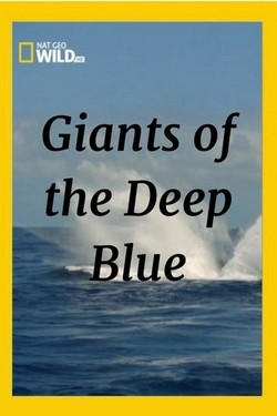 Nat Geo Wild: Глубоководные гиганты - смотреть онлайн
