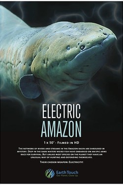 Амазонская электрическая рыба - смотреть онлайн