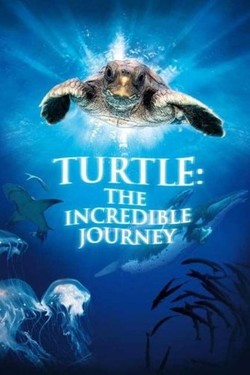 Большое путешествие вглубь океанов 3D: Возвращение - смотреть онлайн