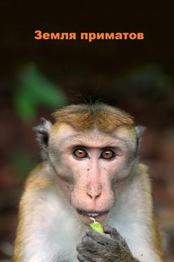 Земля приматов - смотреть онлайн