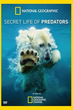 Тайная жизнь хищников - смотреть онлайн